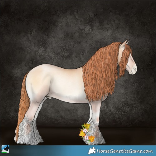 Horse Color:Amber Champagne Pearl Onyx Rabicano 