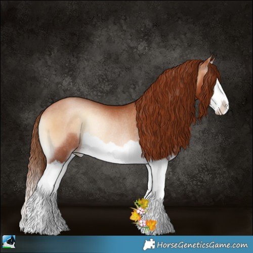 Horse Color:Brown Pearl Onyx Splash Rabicano 
