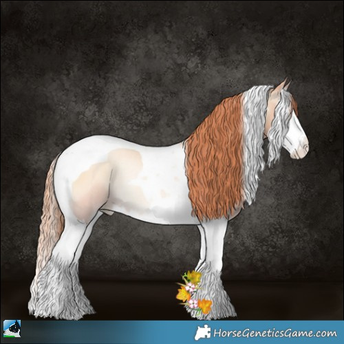 Horse Color:Classic Champagne Pearl Onyx Sabino Splash Tobiano Rabicano 
