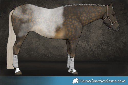 Horse Color:Silver Buckskin Tobiano 