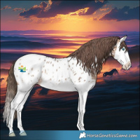 Horse Color:Bay Dun Splash Near Leopard Rabicano 