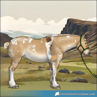 Horse Color:White Spotted Chocolate Palomino Dun Tobiano Rabicano