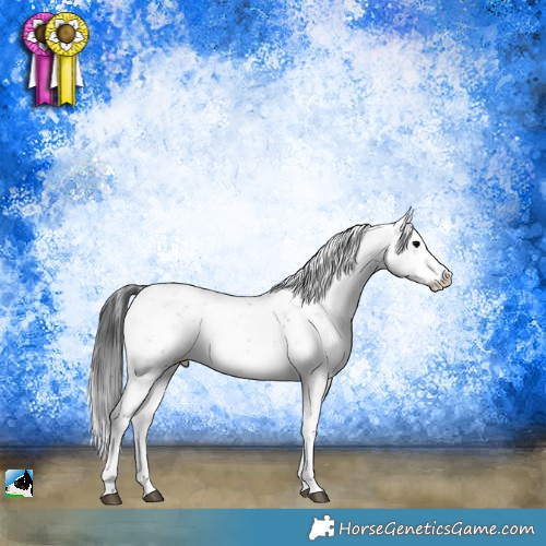 Horse Color:White Spotted Blue Onyx Sabino Rabicano 
