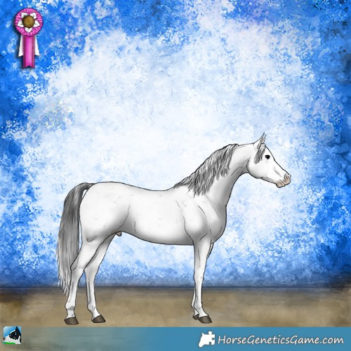 Horse Color:White Spotted Blue Onyx Sabino Rabicano 