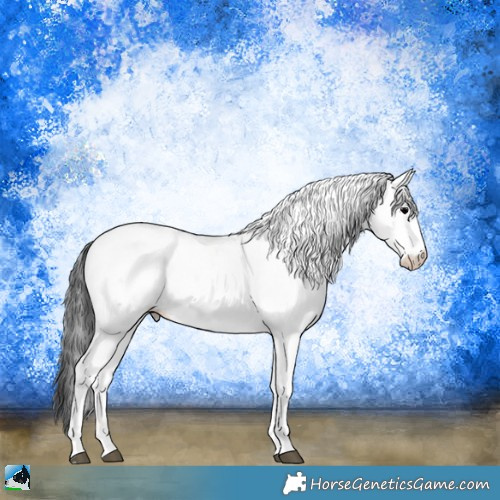 Horse Color:Blue Onyx Sabino Appaloosa 