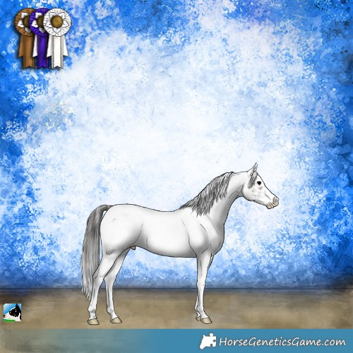 Horse Color:White Spotted Blue Onyx Appaloosa Rabicano 