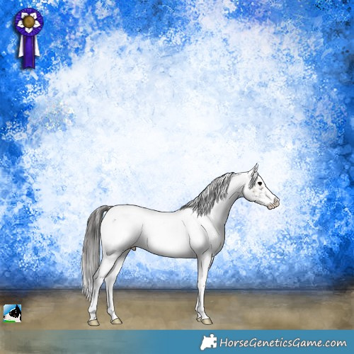 Horse Color:White Spotted Blue Onyx Appaloosa Rabicano 