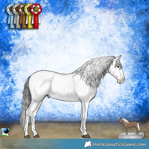 Horse Color:Black Mushroom Sabino Appaloosa 