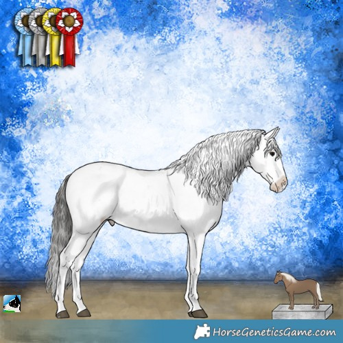 Horse Color:Black Mushroom Sabino Appaloosa 