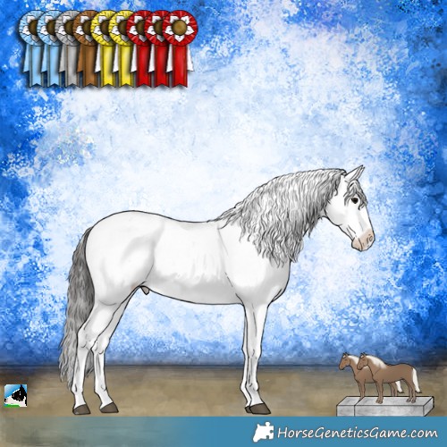 Horse Color:Black Mushroom Sabino Appaloosa 