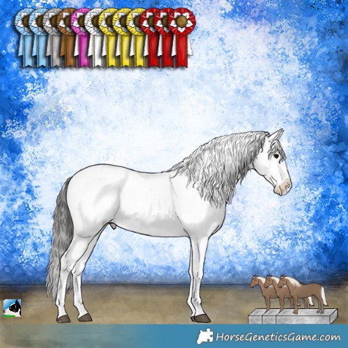 Horse Color:Black Mushroom Sabino Appaloosa 