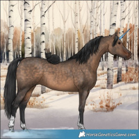 Horse Color:Brown Dun Tobiano