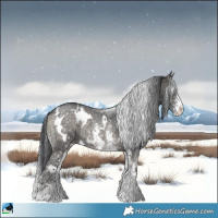 Horse Color:White Spotted Blue Onyx Ice Sabino Rabicano