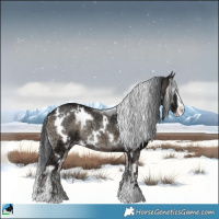 Horse Color:White Spotted Blue Onyx Ice Sabino Rabicano 