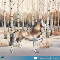 Horse Color:Brown Onyx Sabino Tobiano Rabicano 