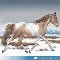 Horse Color:Liver Red Roan Pearl Tobiano 