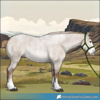 Horse Color:Liver Red Dun Roan Sabino Rabicano 