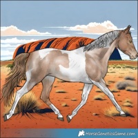 Horse Color:Liver Red Roan Pearl Tobiano 