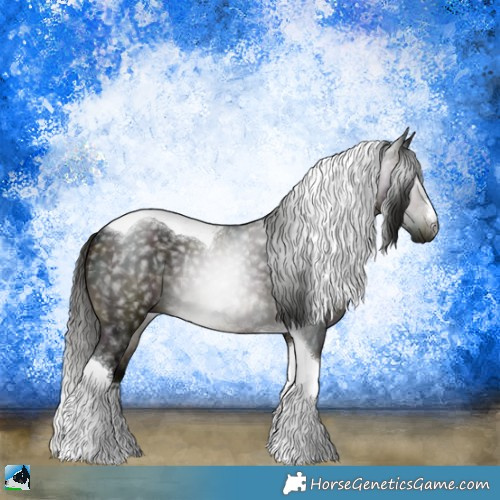 Horse Color:Gray Midnight Buckskin Tobiano Rabicano