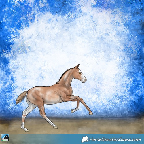 Horse Color:Gold Champagne Sabino Rabicano 