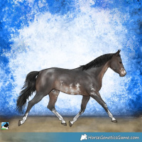 Horse Color:Brown Mushroom Sabino Rabicano