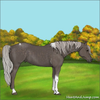 Horse Color:Silver Black Tobiano 