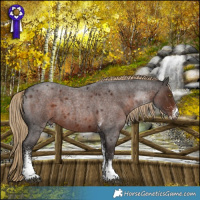 Horse Color:White Spotted Liver Red Roan 