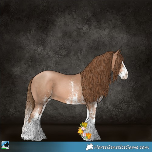 Horse Color:White Spotted Liver Chestnut Pearl Splash