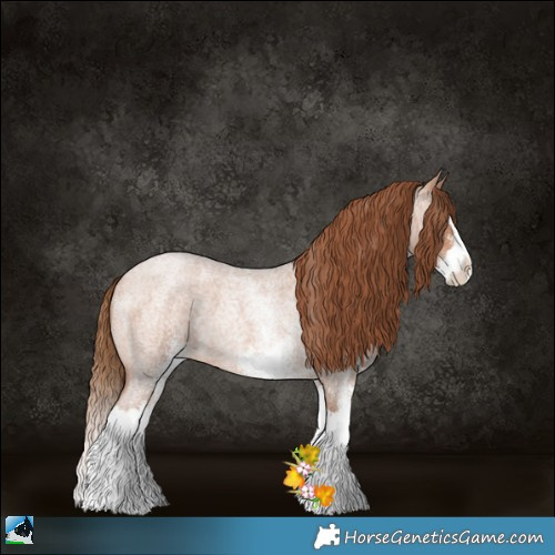Horse Color:White Spotted Brown Roan Pearl Splash