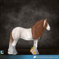 Horse Color:White Spotted Brown Roan Pearl Splash
