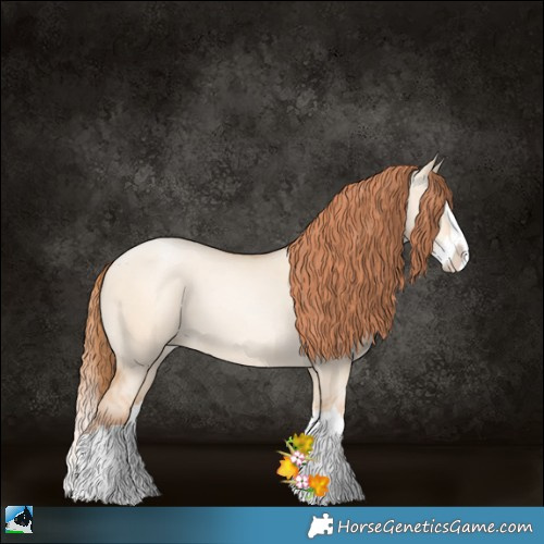 Horse Color:Classic Champagne Pearl Dun Sabino Splash