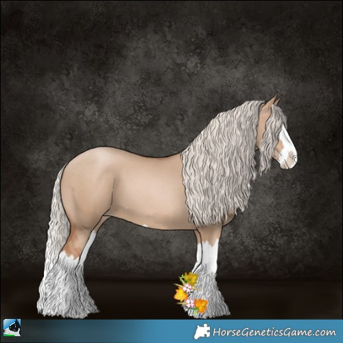 Horse Color:Silver Grullo Pearl Sabino Splash 