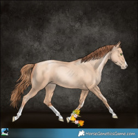 Horse Color:White Spotted Classic Champagne Pearl Splash 
