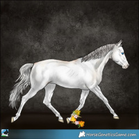 Horse Color:Silver Classic Champagne Roan Pearl Onyx Sabino Splash Frame 
