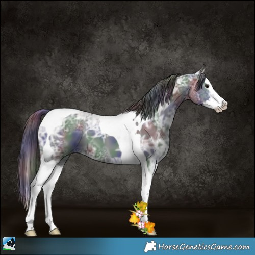 Horse Color:Nacre Black Ice Splash Tobiano
