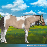 Horse Color:Liver Red Dun Tobiano Brindle