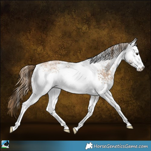 Horse Color:White Spotted Black Ice Pearl Sabino Rabicano