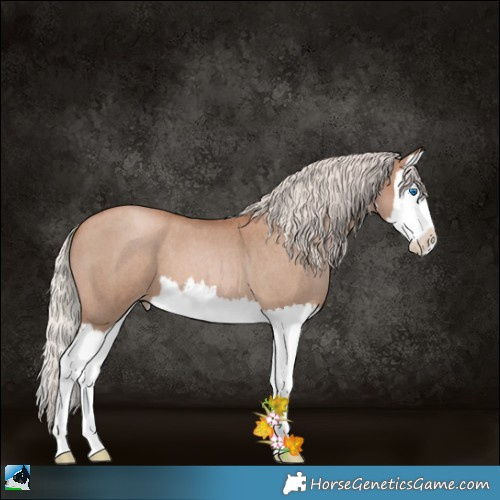Horse Color:Silver Blue Roan Pearl Splash 