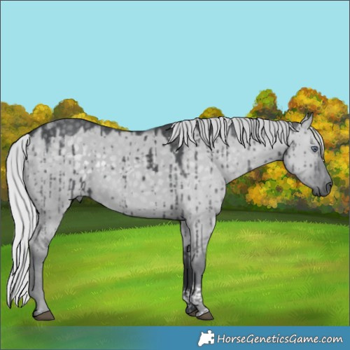 Horse Color:Silver Grullo Chinchilla Tobiano Brindle 