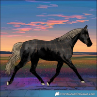 Horse Color:Void Plaid  White Spotted Liver Chestnut 