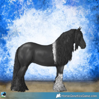 Horse Color:Platinum Black Tobiano 