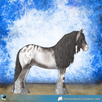 Horse Color:Platinum Liver Red Onyx Appaloosa 