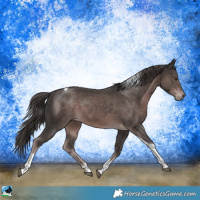 Horse Color:Platinum Liver Chestnut Tobiano 