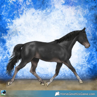 Horse Color:Platinum Liver Chestnut Tobiano 