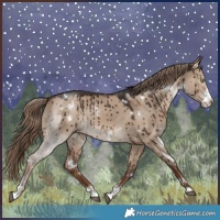 Horse Color:White Spotted Liver Red Dun Sabino Brindle 