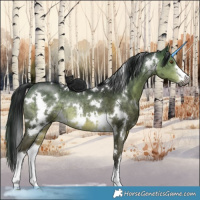 Horse Color:Gray White Spotted Buckskin Dun Mushroom Sabino Rabicano 