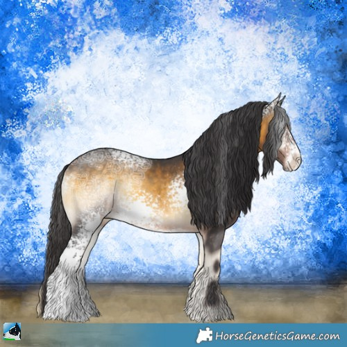 Horse Color:White Spotted Buckskin Ice Onyx 