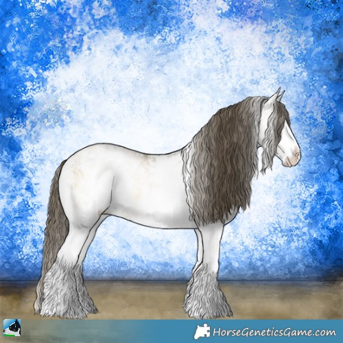 Horse Color:White Spotted Buckskin Ice Pearl Onyx Rabicano