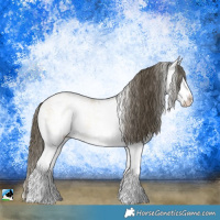 Horse Color:White Spotted Buckskin Ice Pearl Onyx Rabicano 