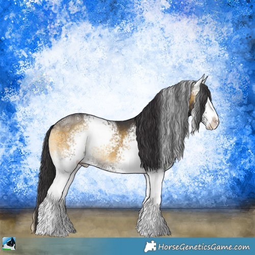 Horse Color:White Spotted Buckskin Ice Onyx Sabino Rabicano 